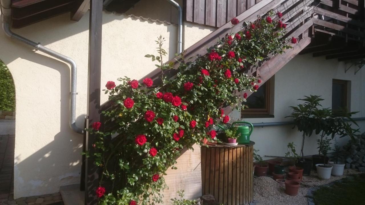 Ferienoase ENGEL Apartment Uberlingen Exterior foto